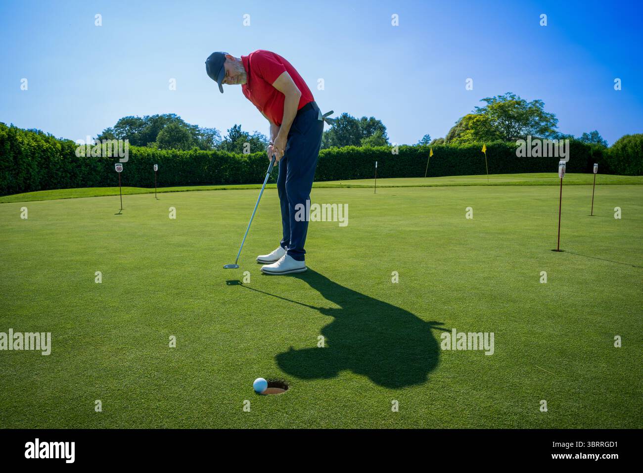Mature golfer practicing putting on a sunny day at the golf course Stock Photo