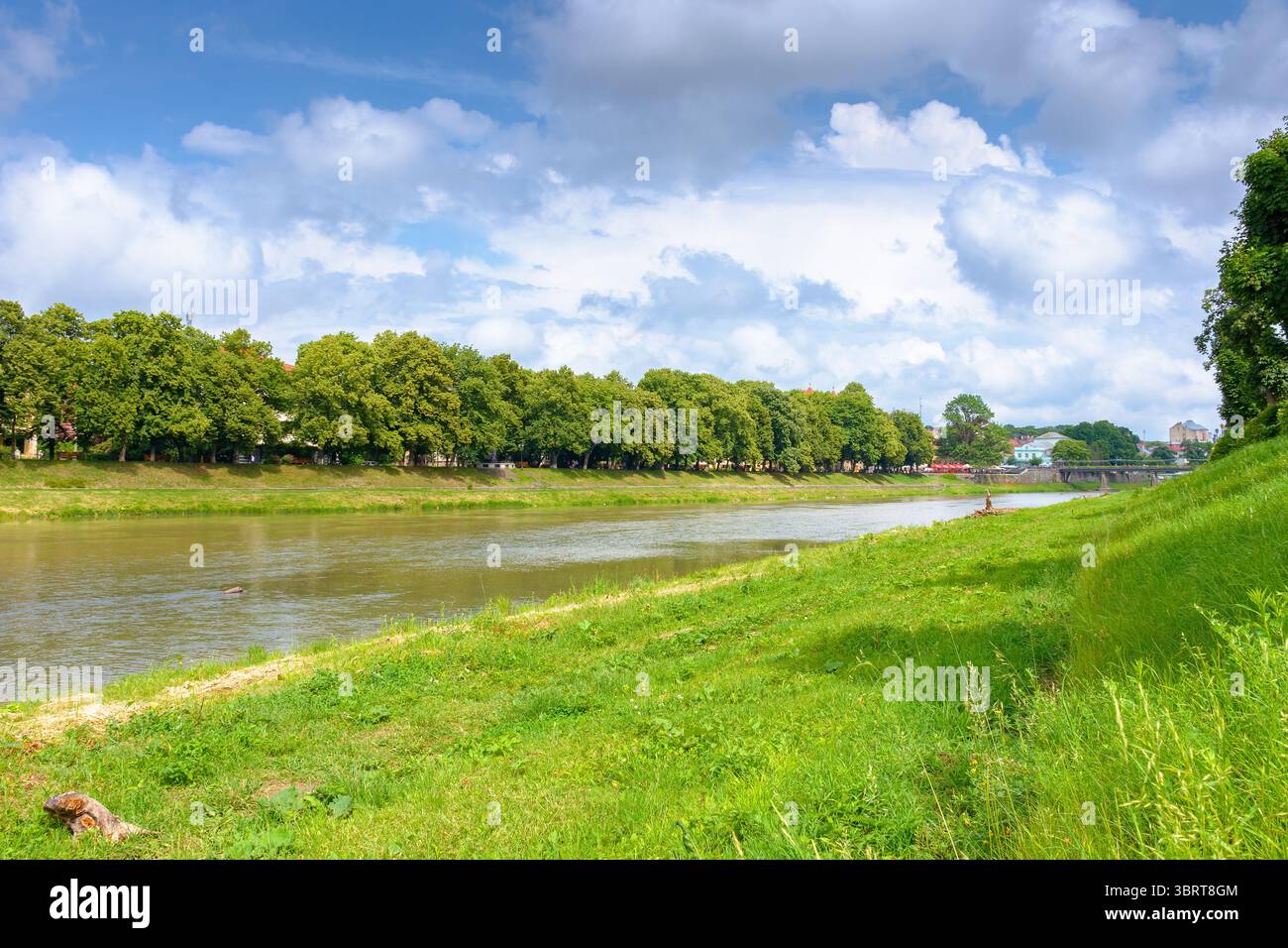 embankment of a river uzh in summer. longest linden alley in europe on a sunny day. view of lush trees near water under blue sky with clouds. beautifu Stock Photo