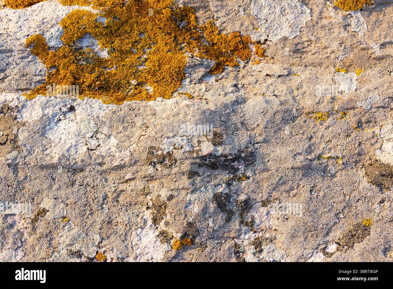 natural sea rock texture. floor material for 3D. outdoor background of sandstone surface in morning light. closeup view of rough stone on coast terrai Stock Photo