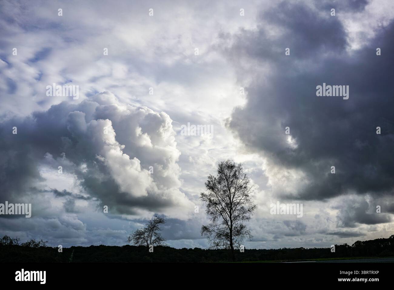 Clouds over the New Forest Stock Photo
