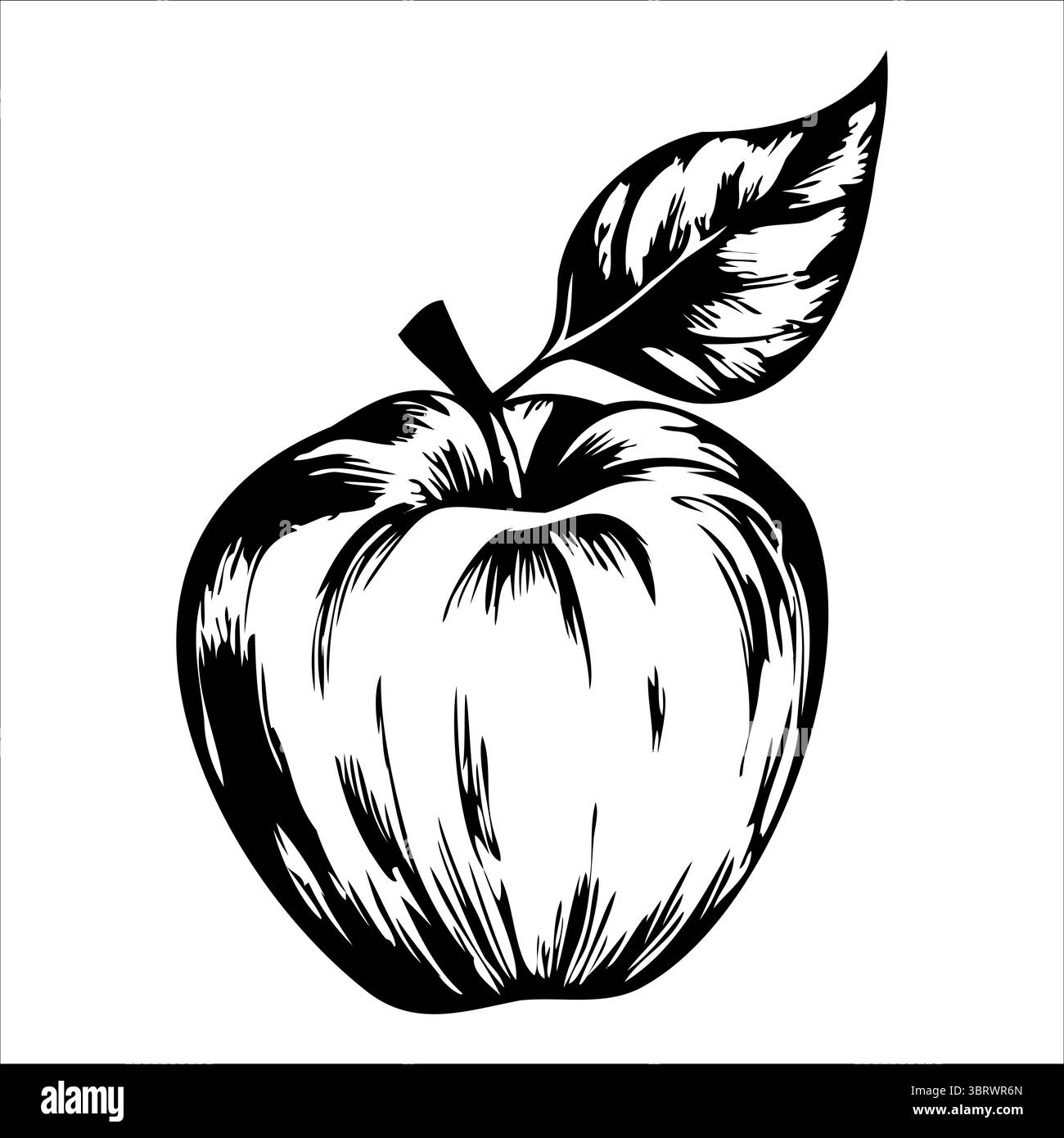 Apple tree with fruit Black and White Stock Photos & Images - Alamy