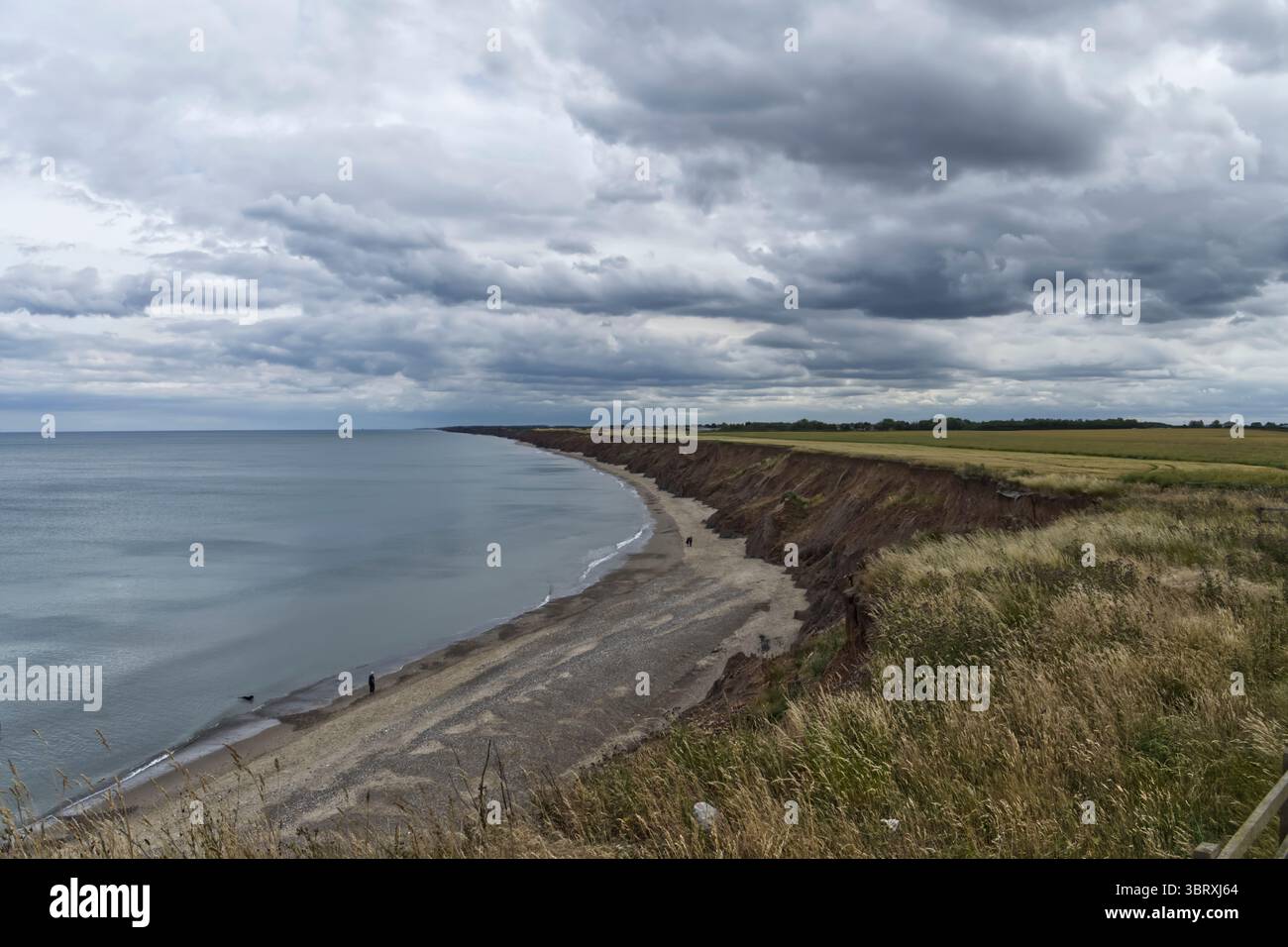 the eroding cliffs at Mappleton, East Riding of Yorkshire, England ,UK ...