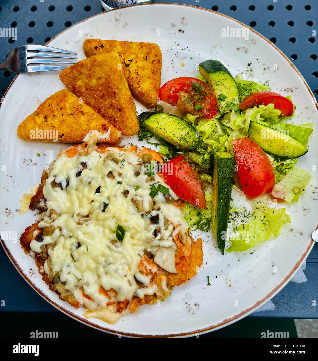 Chicken Schnitzel with salad and hashbrowns. - Smartphone Captured Stock Image