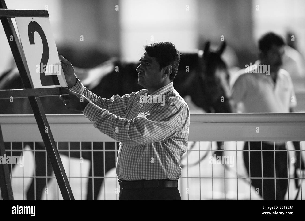 September 16, 2019, Dubai, AE: A man puts the horse's number on the ...