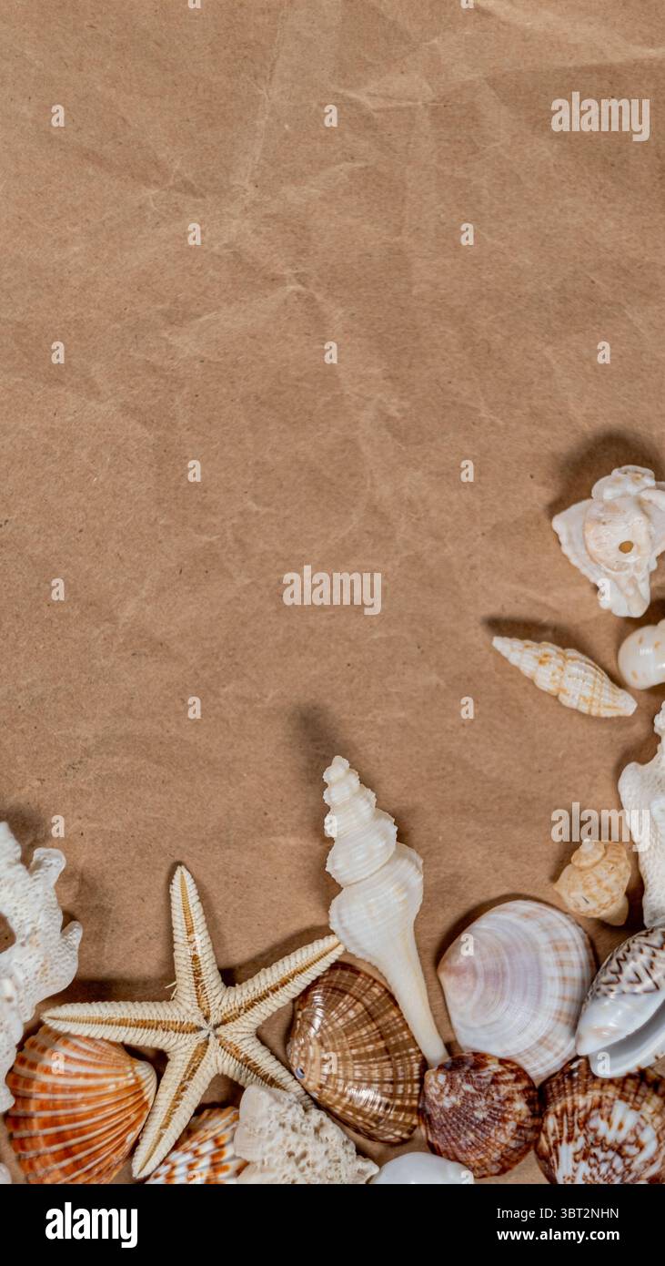 Beach themed composition with seashells and copy space on beige background Stock Photo