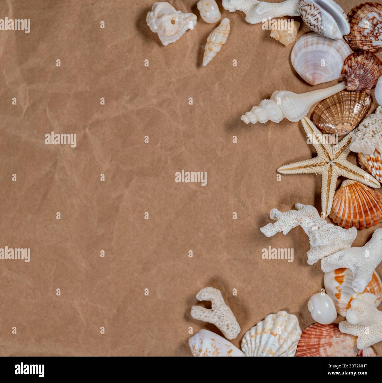 Beach themed composition with seashells and copy space on beige background Stock Photo