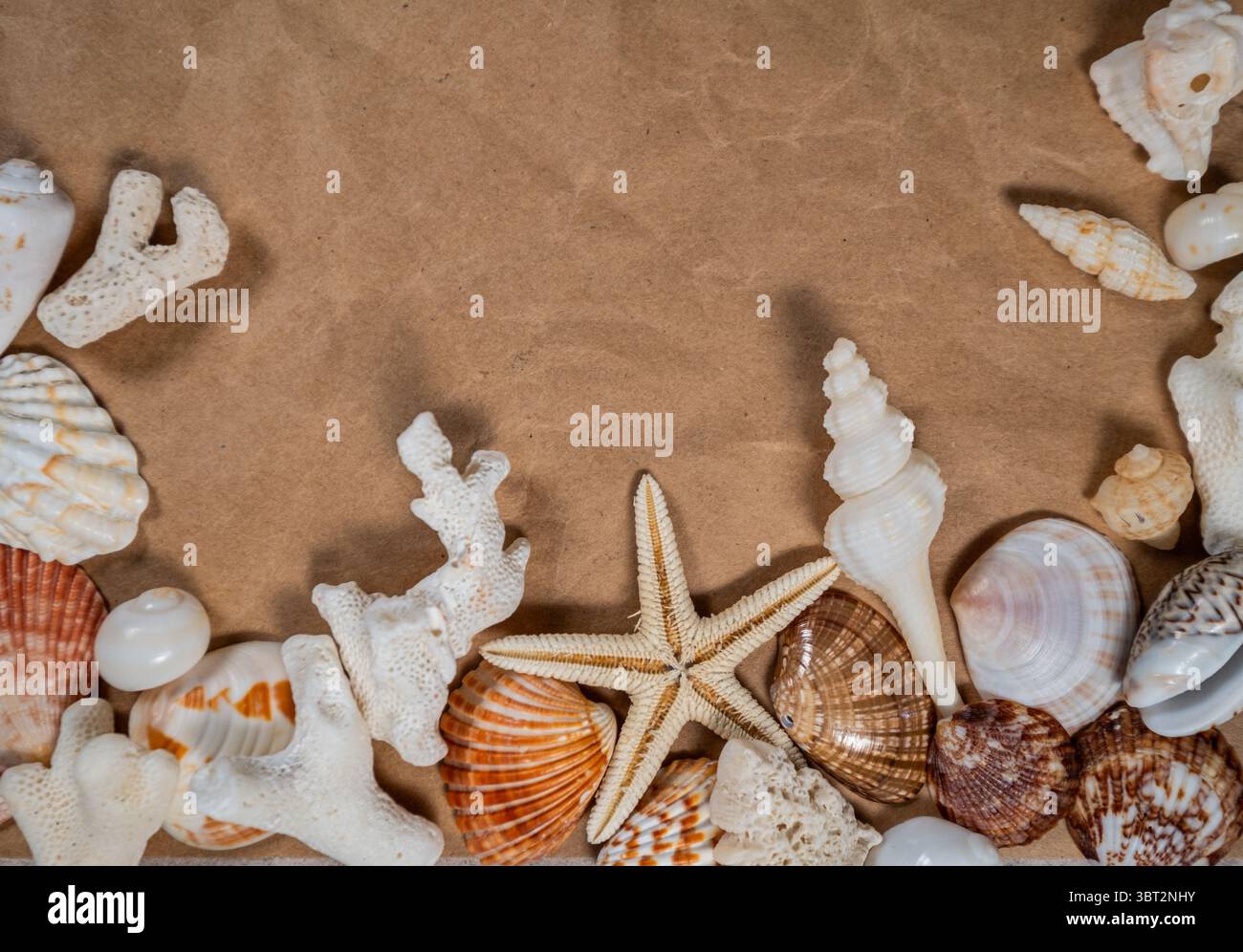 Beach themed composition with seashells and copy space on beige background Stock Photo