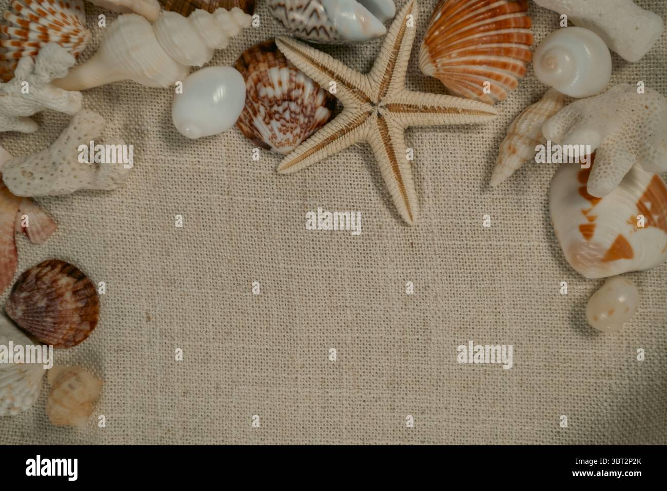 Beach themed composition with seashells and copy space on beige background Stock Photo