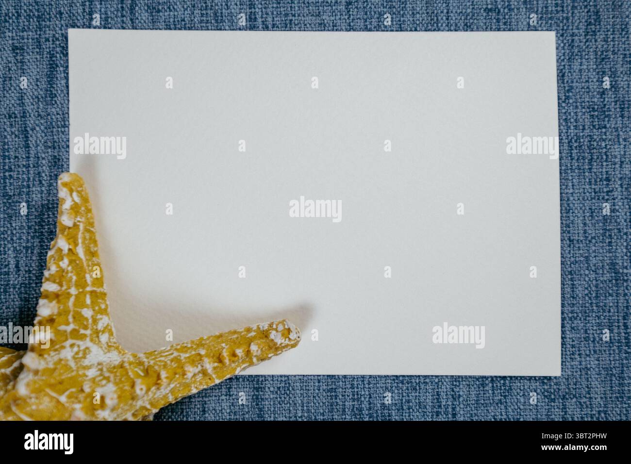 Empty blue fabric frame with starfish and beach themed minimal background Stock Photo