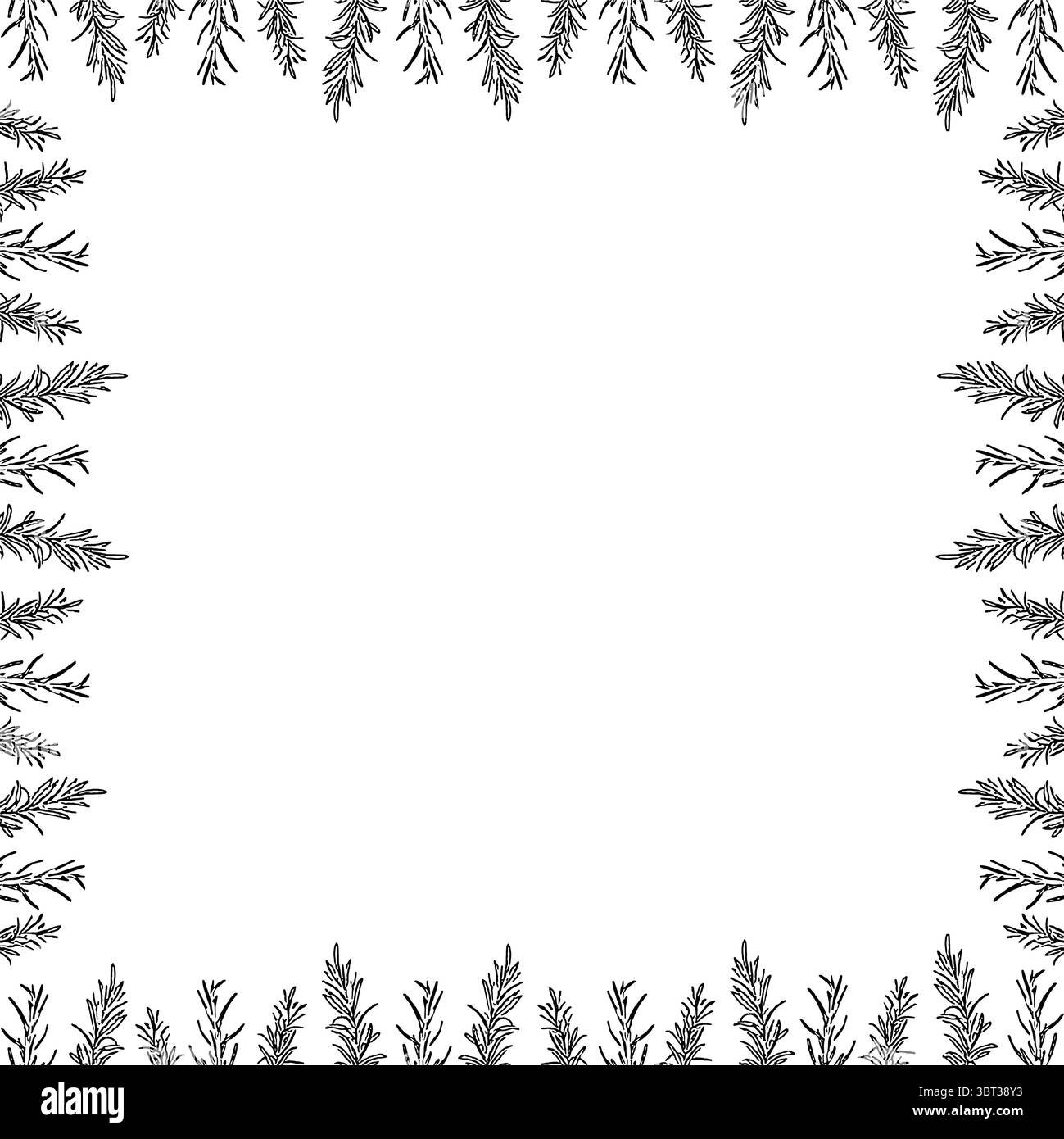 Flourish frame with monochrome elements. Trendy botany graphic template. Grass empty frame box Stock Vector