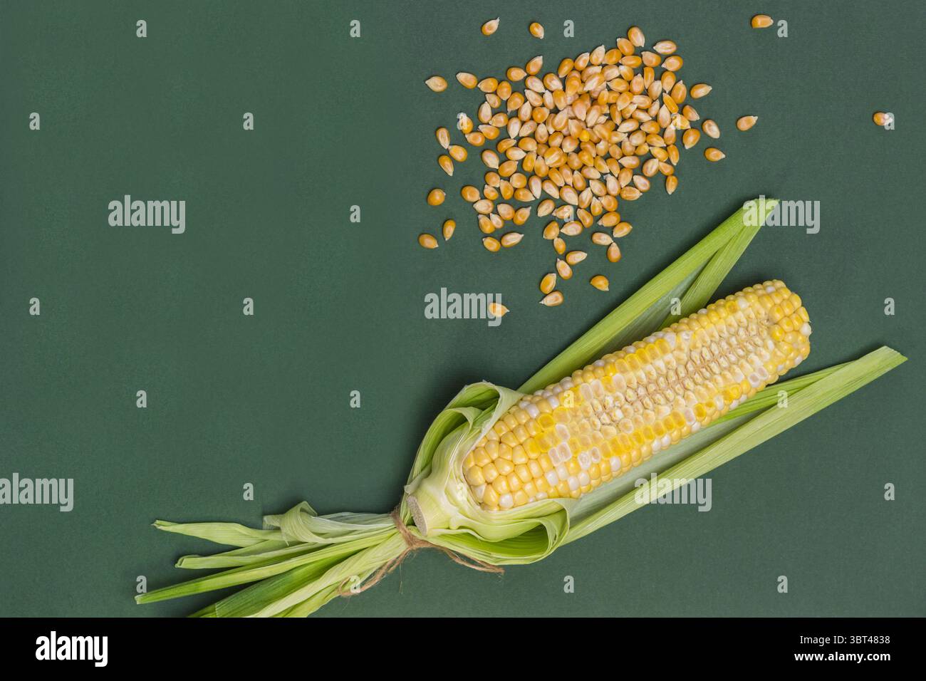 Ear of corn with kernels cut off. Corn grains on table. Green ...