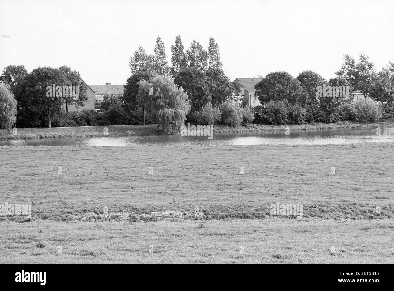 Pond reflecting trees surroundings Black and White Stock Photos ...