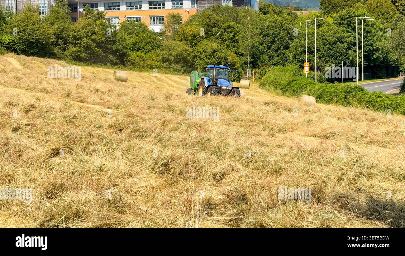 Pontypridd, Wales, UK - 12 July 2025: Tractor towing a baling machine to make large round bales from dried grass in a farm field. - Smartphone Captured Stock Image