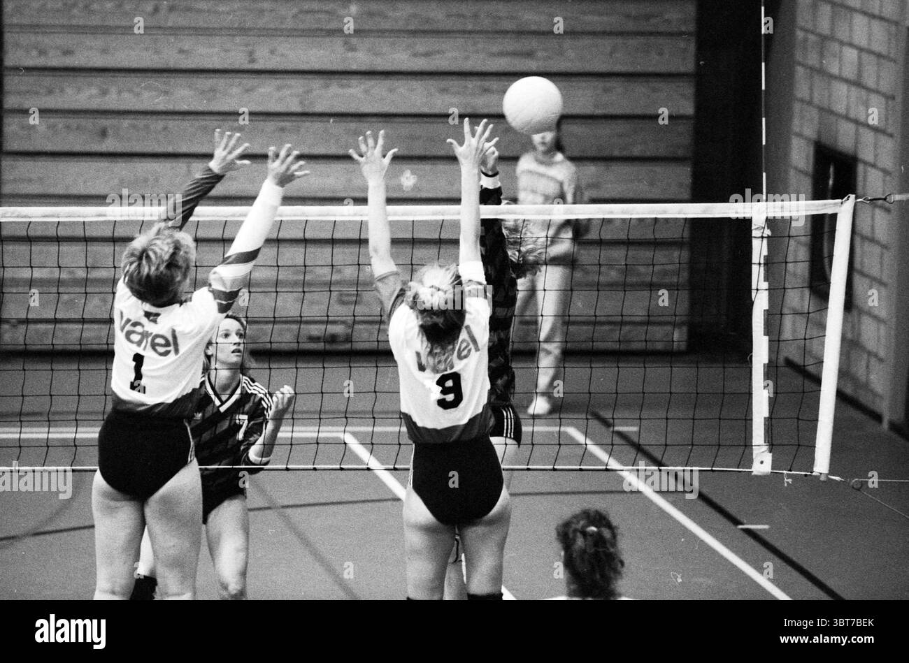 women-s-volleyball-allides-vanel-volleyball-whizgle-news-dutch-desk
