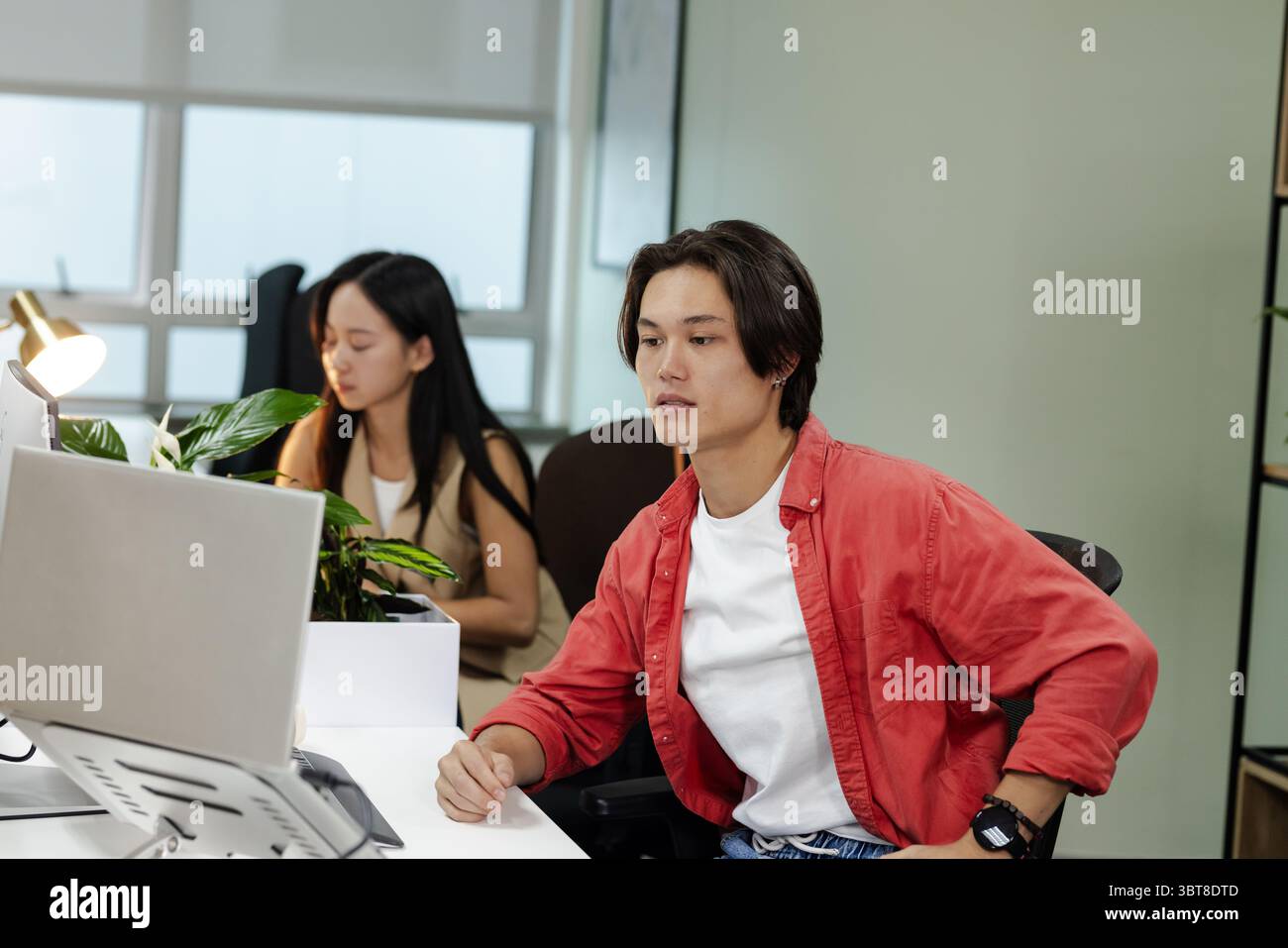 Asian coworkers working at modern office using silver laptop beside brass desk lamp and green plant Stock Photo