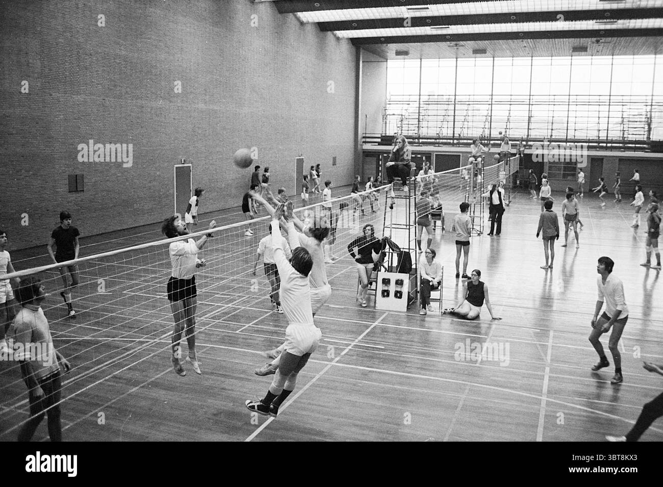 school-sports-day-heemskerk-sports-and-sports-week-whizgle-news-dutch