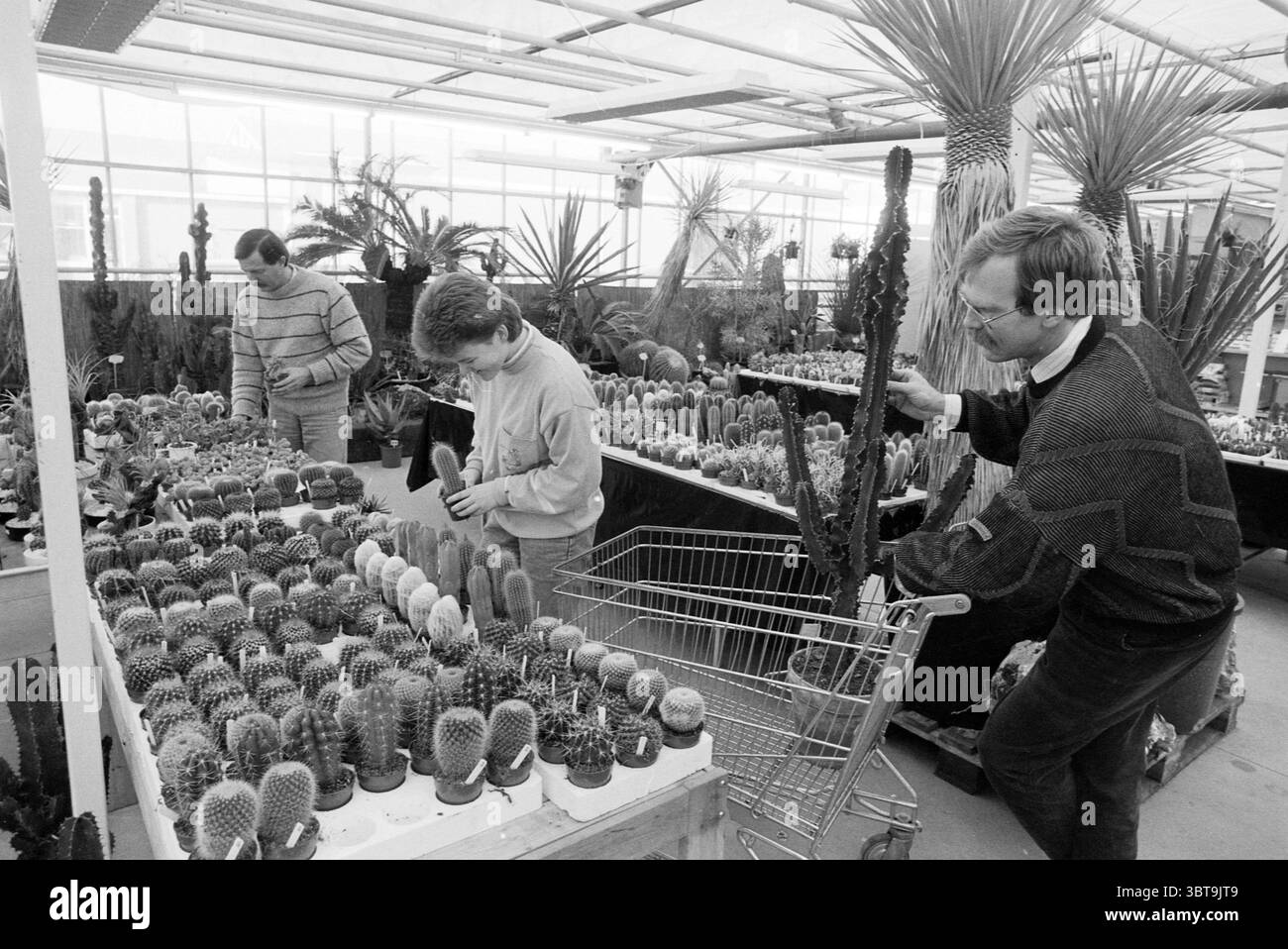 Bakker hillegom hi-res stock photography and images - Alamy
