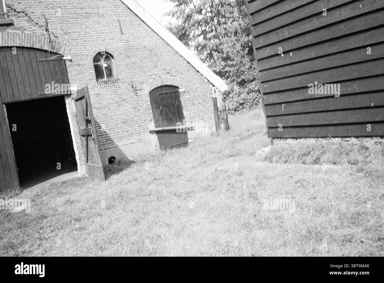 T top roof Black and White Stock Photos & Images - Alamy
