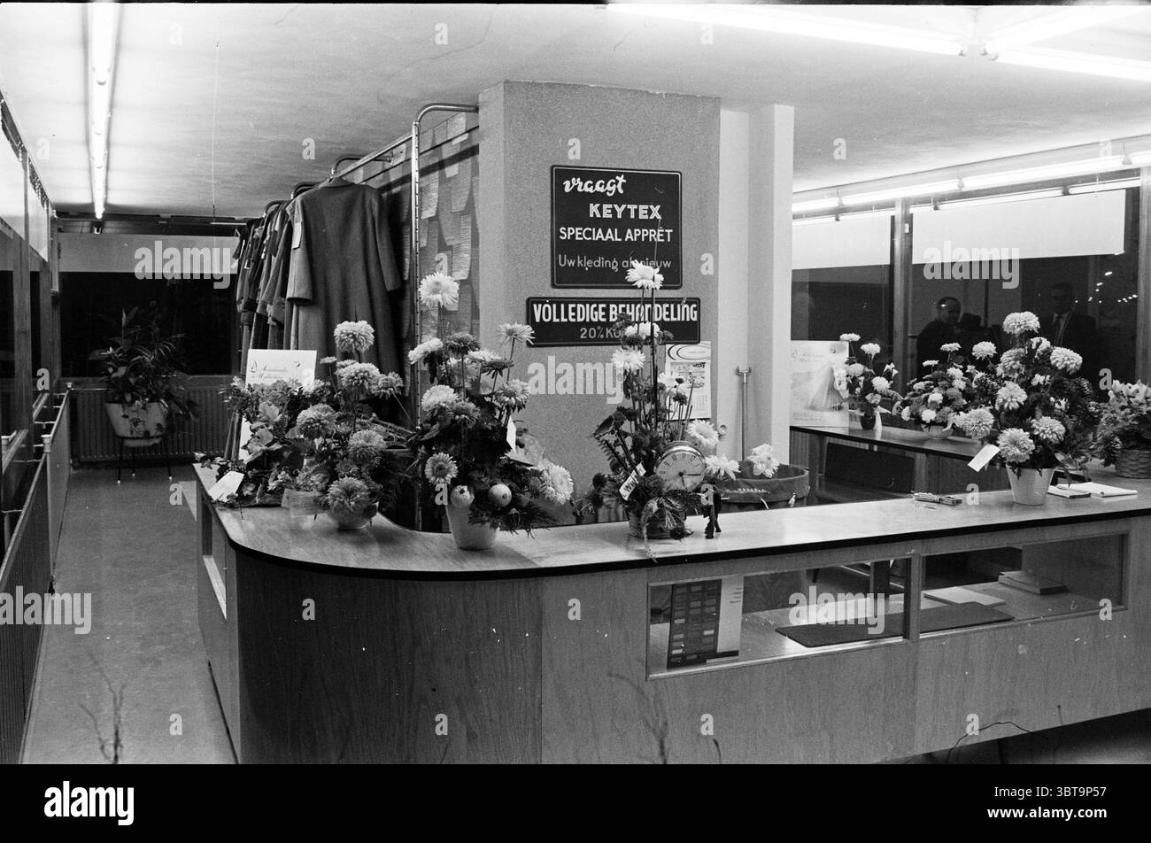 Opening of dry cleaners 'Rapid' Haarlem-Noord' Opening openings opening Shops and kiosks, Whizgle News, Dutch Desk, The Netherlands, 1950 - 2000 on 26-11-1960. The image contains these topics. The scene depicts an indoor floral shop or boutique, characterized by a warm, inviting atmosphere. The focal point is a wooden counter that serves as the main transaction area, adorned with a variety of potted plants and vibrant floral arrangements. The flowers showcase a rich palette, including bright yellows, deep reds, and soft pinks, creating a lively contrast against the earthy tones of the counter. Stock Photo