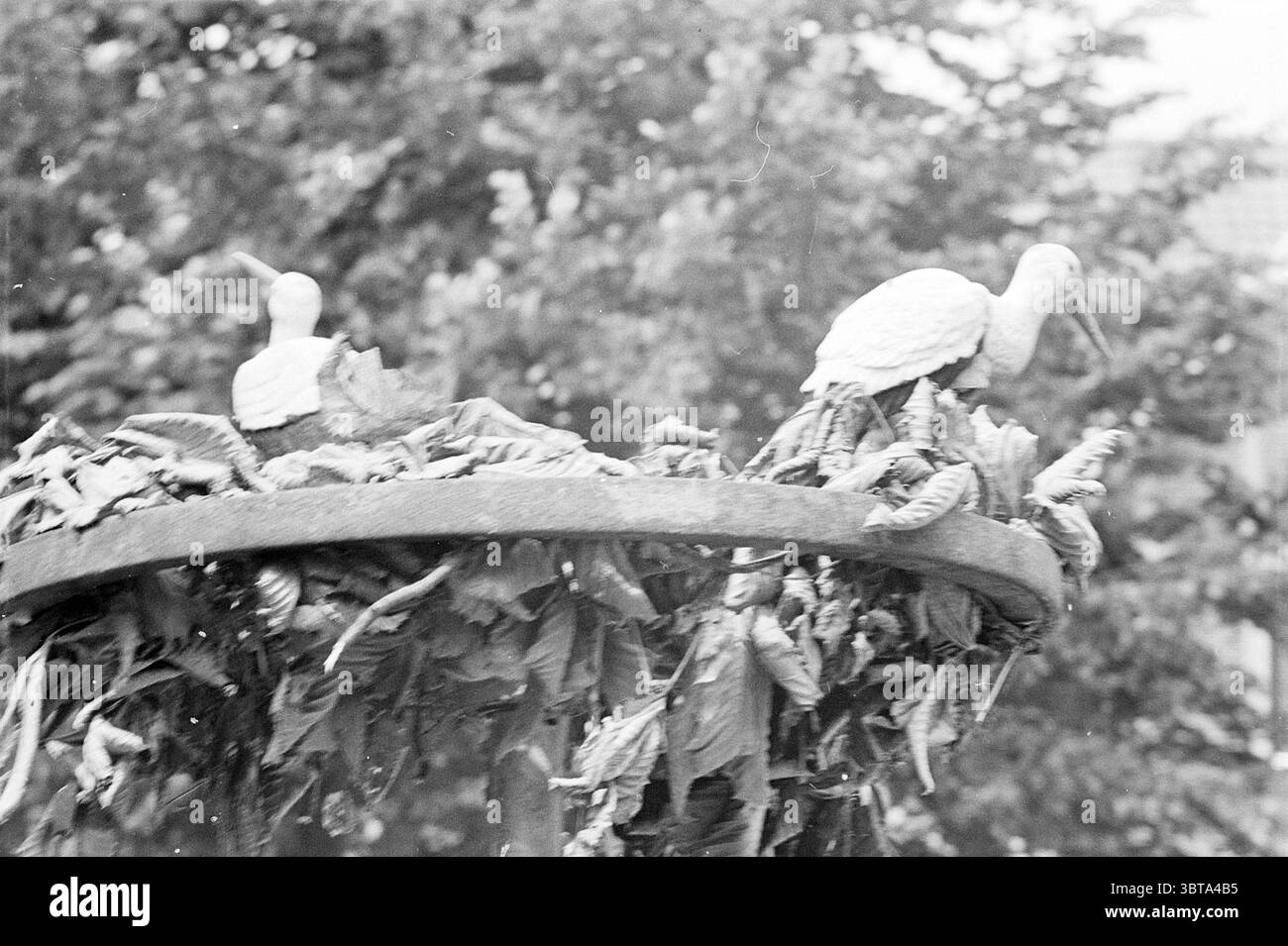Bmp Gradient 16 bit Black and White Stock Photos & Images - Alamy