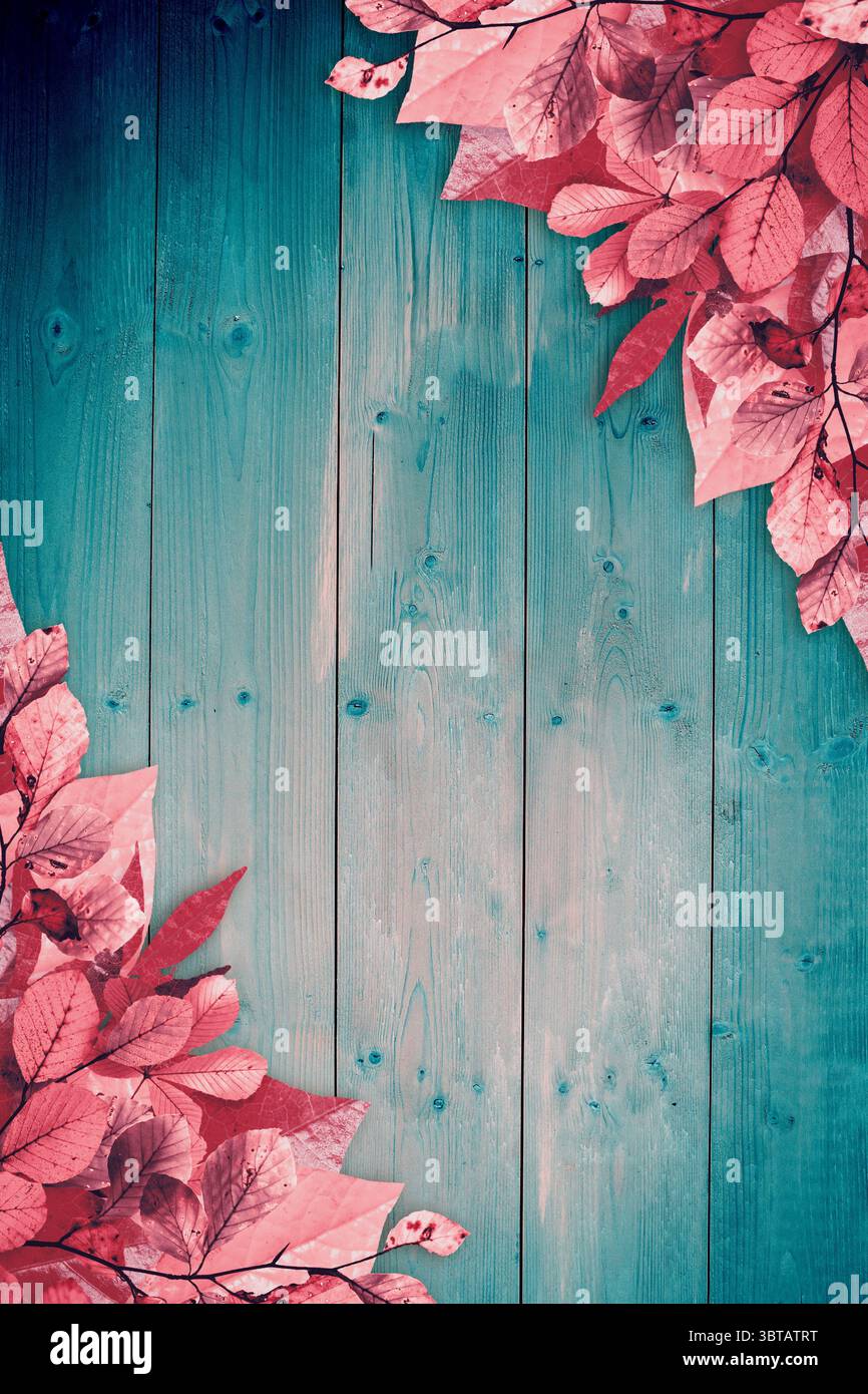 Decorative corners hi-res stock photography and images - Page 3 - Alamy