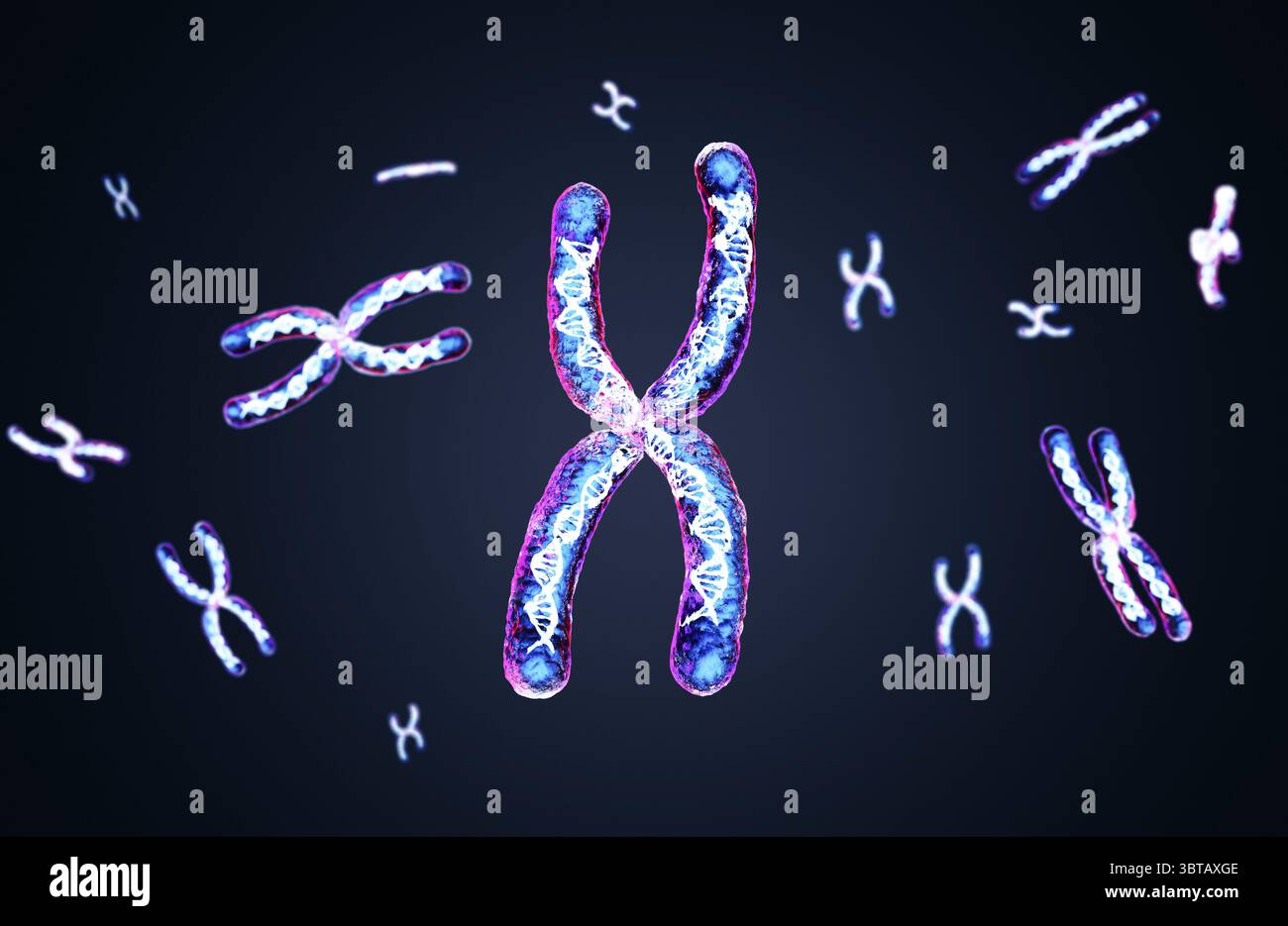 3d rendering transparent chromosome x contain dna strand inside Stock Photo