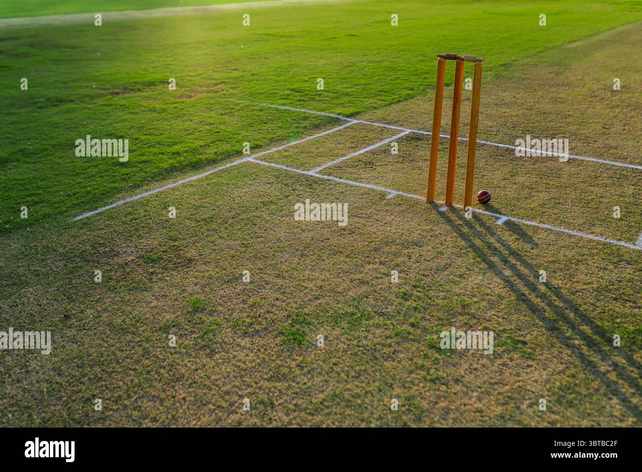 Wooden cricket stumps standing on worn grass pitch with red ball ...