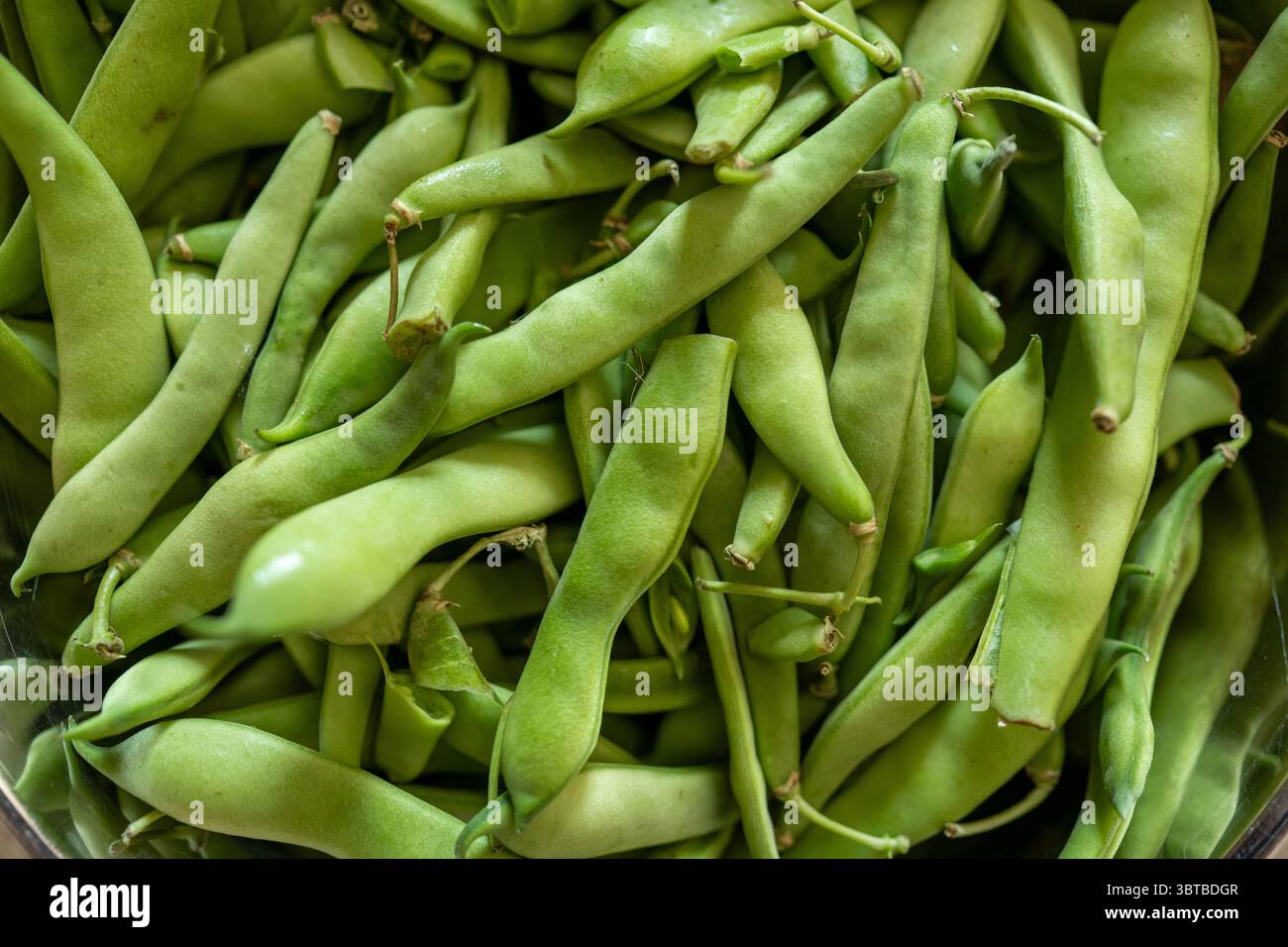Close-up view of fresh green beans stacked in bulk Stock Photo
