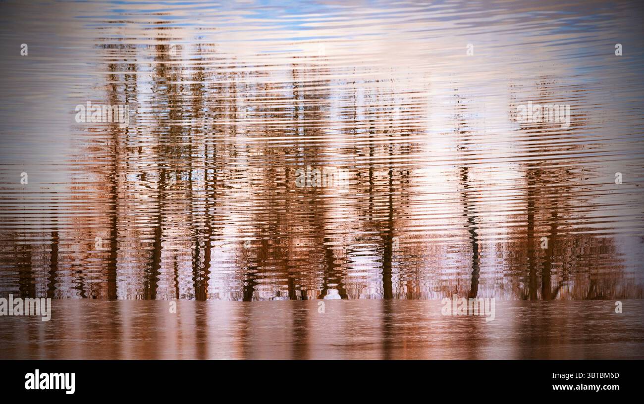 Slender structure hi-res stock photography and images - Alamy