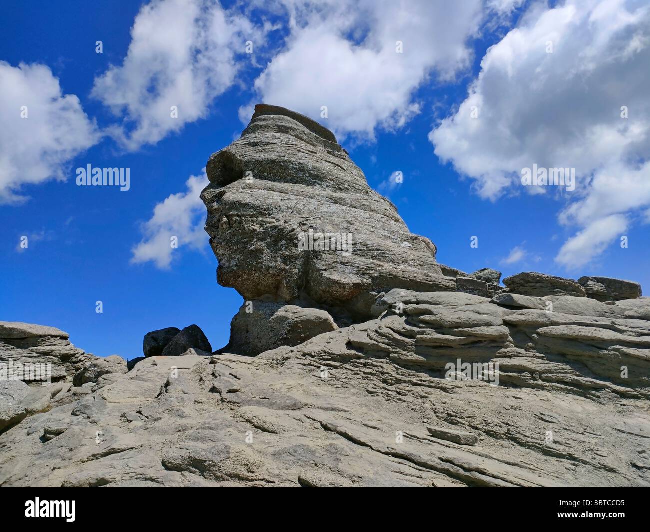 The Sphinx of the Carpathians in the Bucegi Mountains, Romania, is a famous natural rock formation shaped by nature that  looks like a human head - Smartphone Captured Stock Image