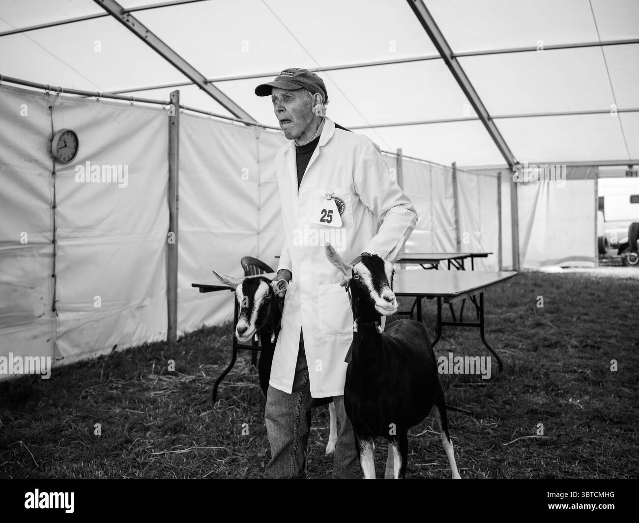 Stithians Show Cornwall July 2025 Stock Photo - Alamy