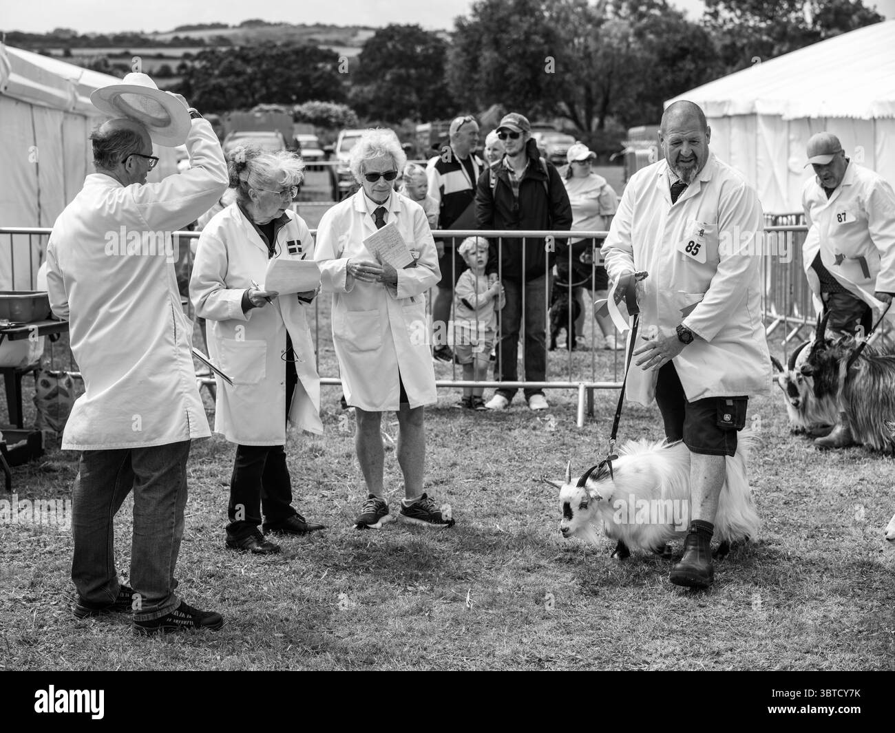 Stithians Show Cornwall July 2025 Stock Photo - Alamy