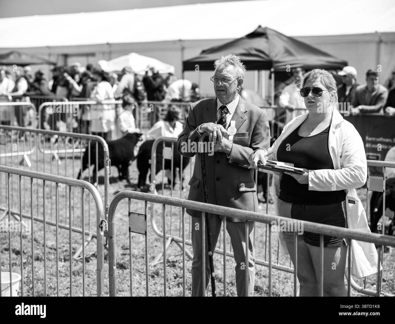 Stithians Show Cornwall July 2025 Stock Photo - Alamy