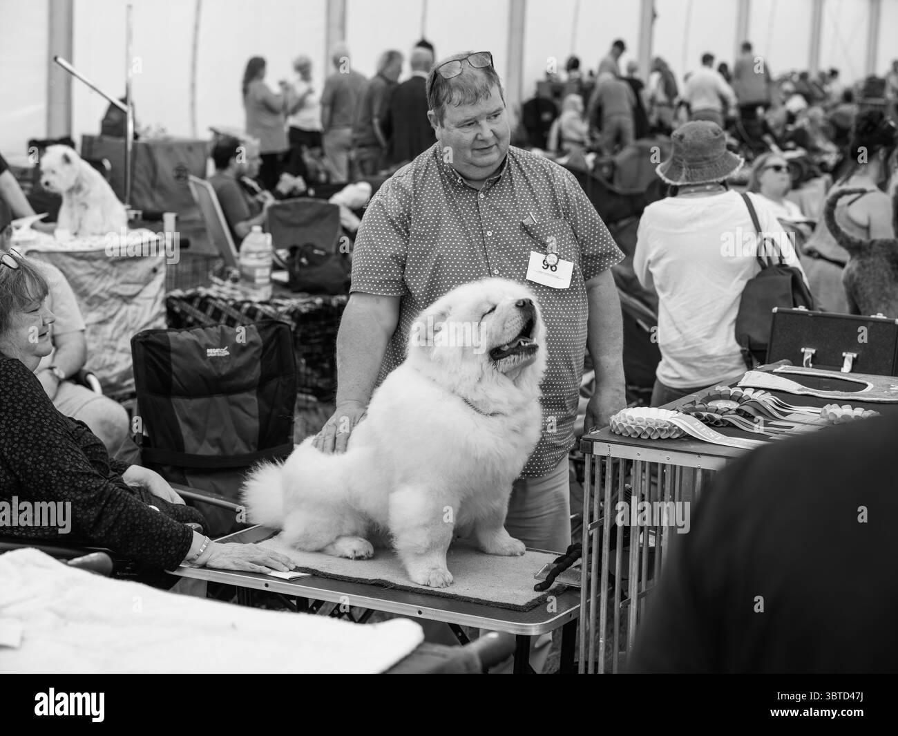 Stithians Show Cornwall July 2025 Stock Photo - Alamy