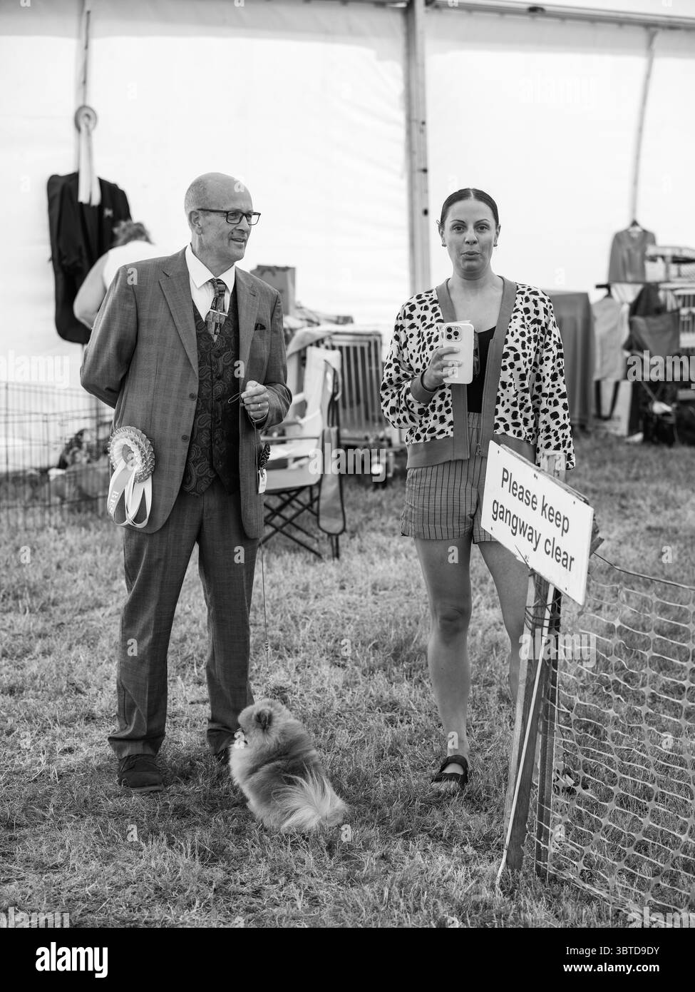 Stithians Show Cornwall July 2025 Stock Photo - Alamy