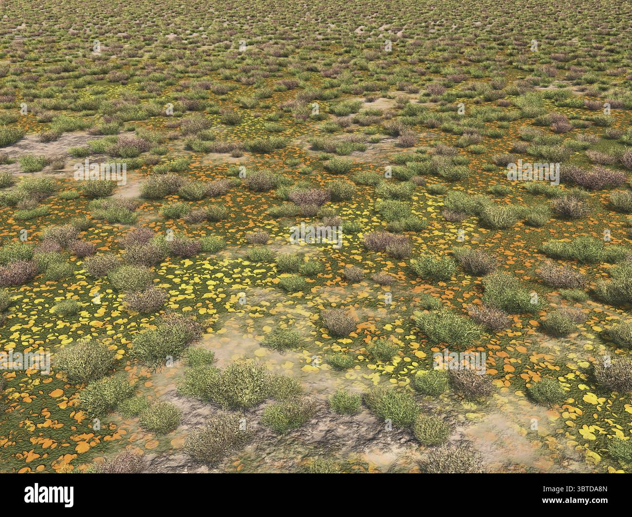 Flat steppe landscape Stock Photo