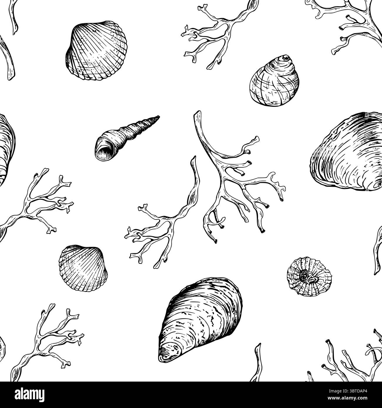 Black and white marine seamless pattern with variety of seashells and coral branches. The hand drawn vector illustration in sketch style. Ideal for Stock Vector