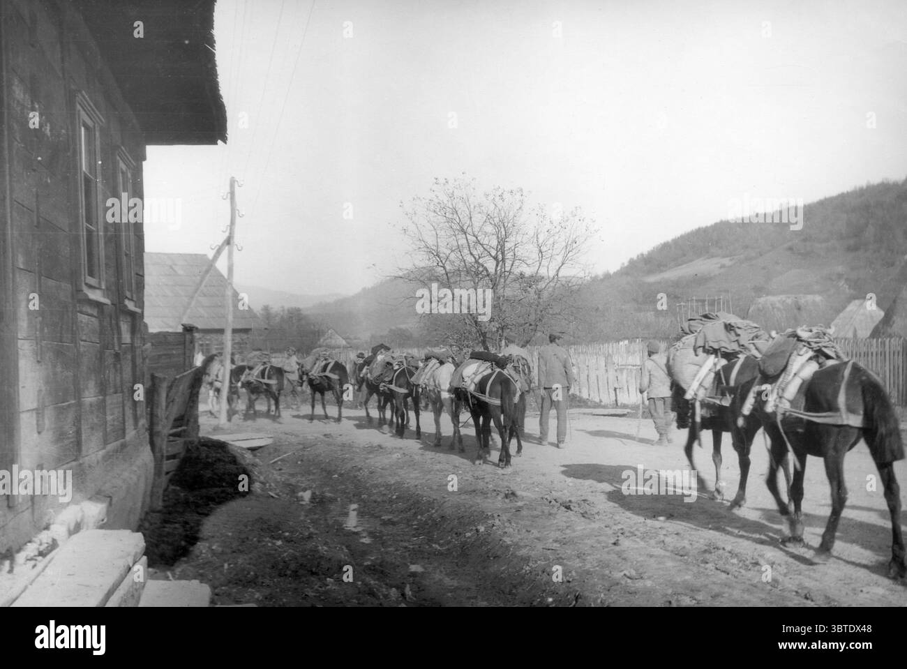 Mule train Black and White Stock Photos & Images - Alamy