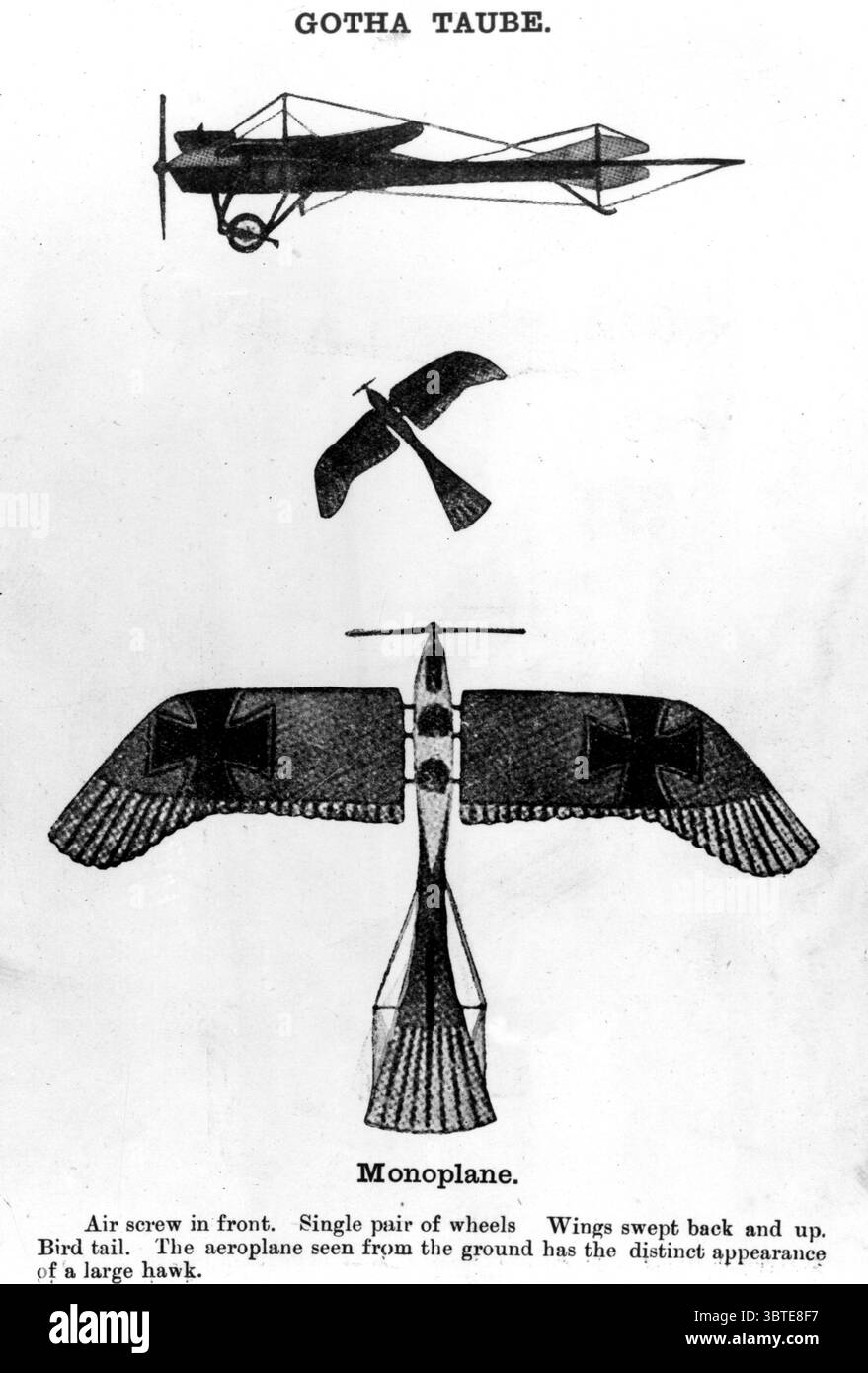 air force pigeon
