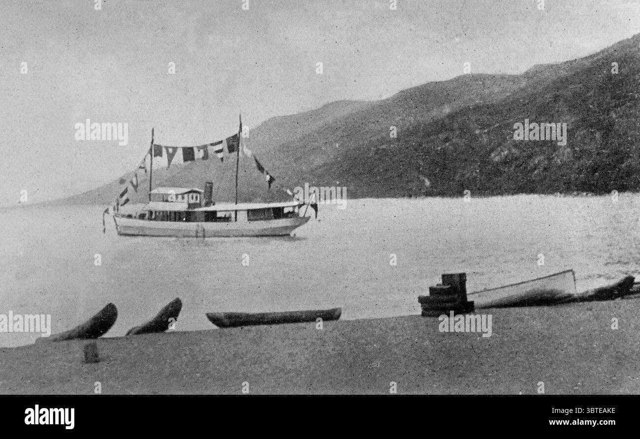 洋書　タンガニーカ　バス　Tanganyika Buntbarsche２ 洋書 タンガニーカ バス Tanganyika Buntbarsche2 洋書