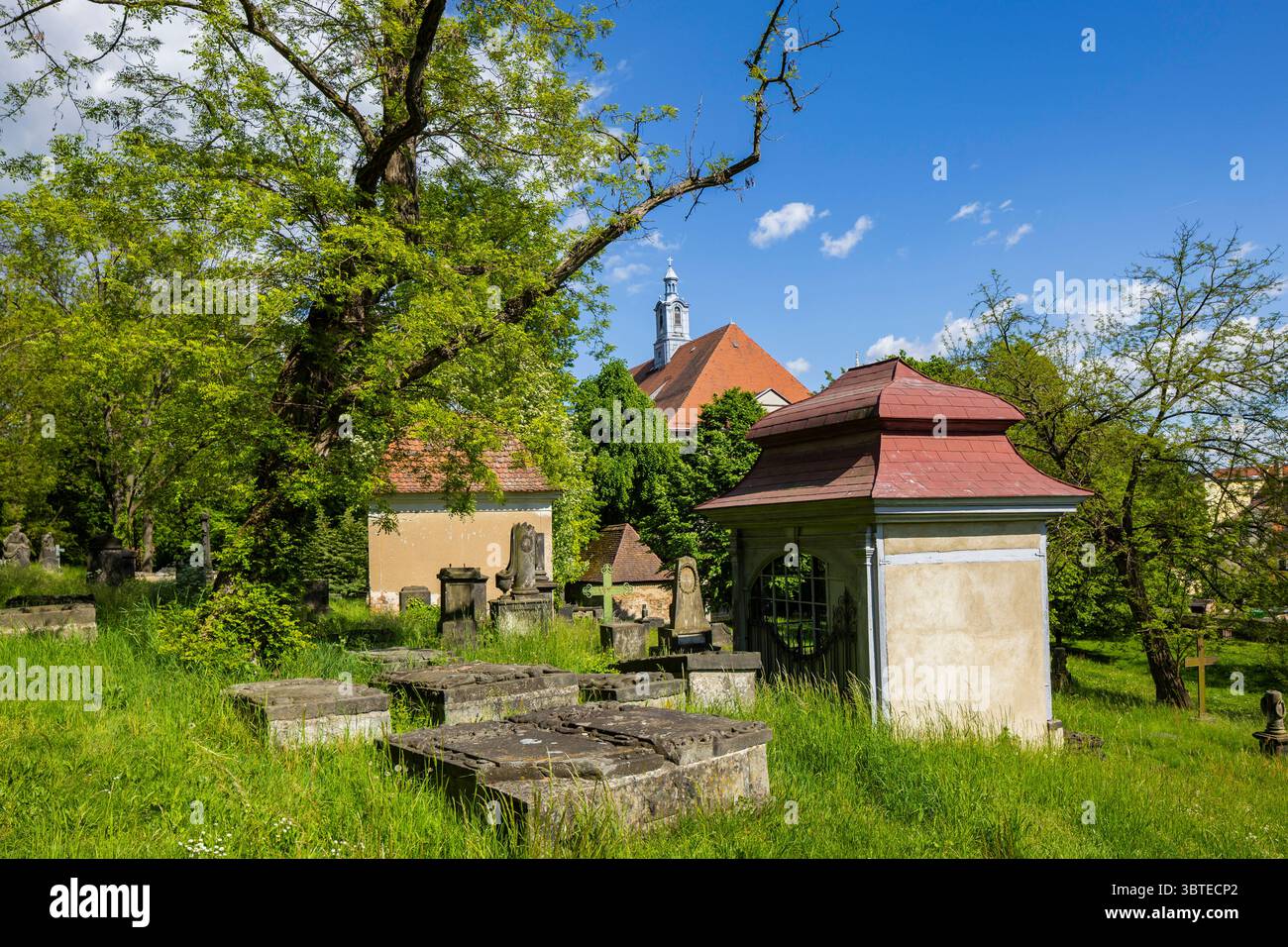 Görlitzer Altstadt Görlitzer Altstadt Nikolaifriedhof Görlitz Sachsen ...