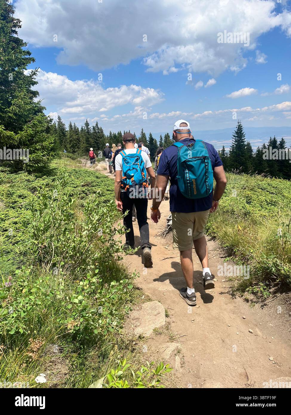 People hiking at Vitosha Mountain Bistrishko Branishte Biosphere Reserve near Sofia Bulgaria, Southeastern Europe, Balkans - Smartphone Captured Stock Image
