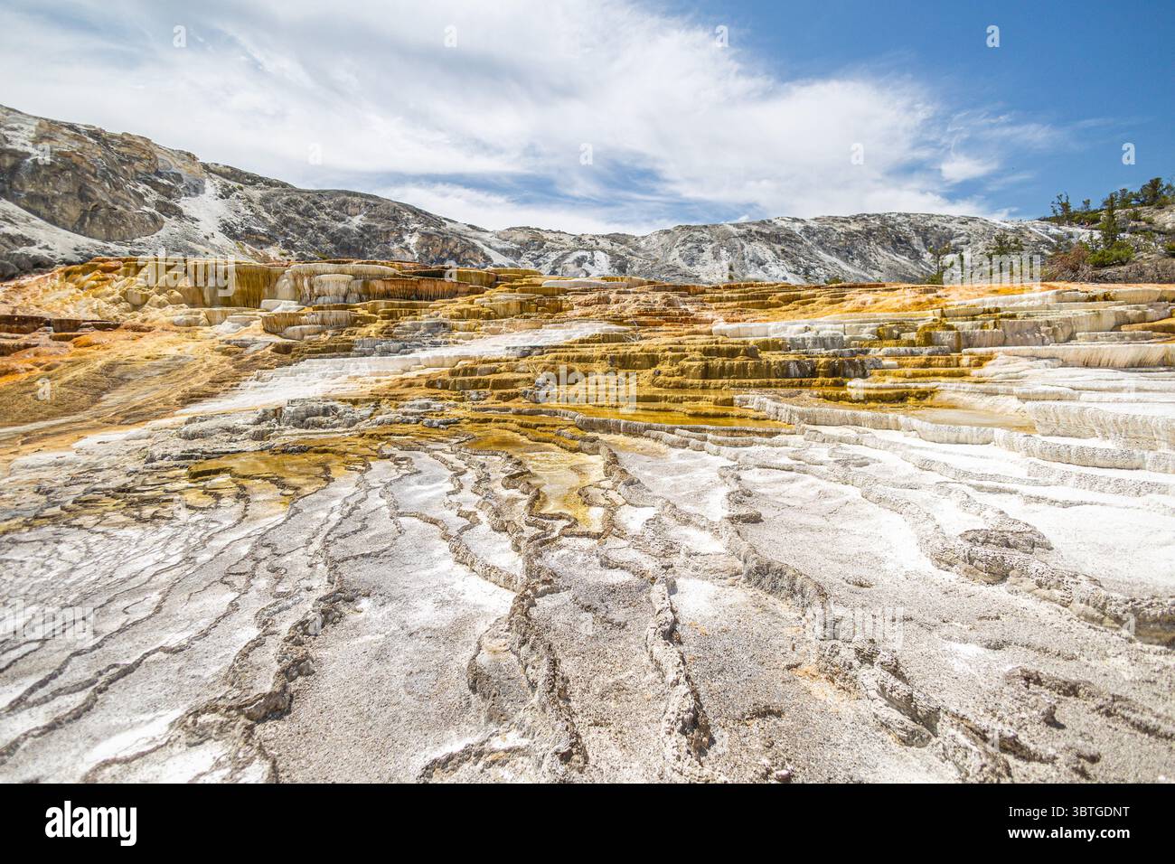 Yellowstone National Park, Mammoth hot spring, Park County, Wyoming ...