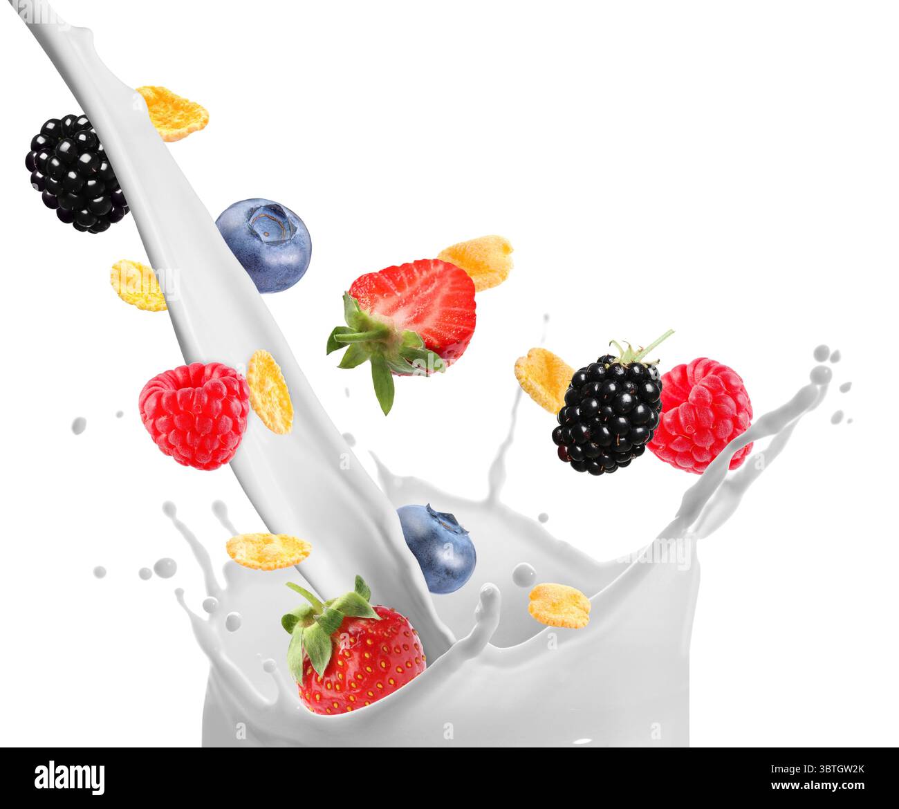 Tasty corn flakes and fresh berries falling into splashing milk on white background Stock Photo