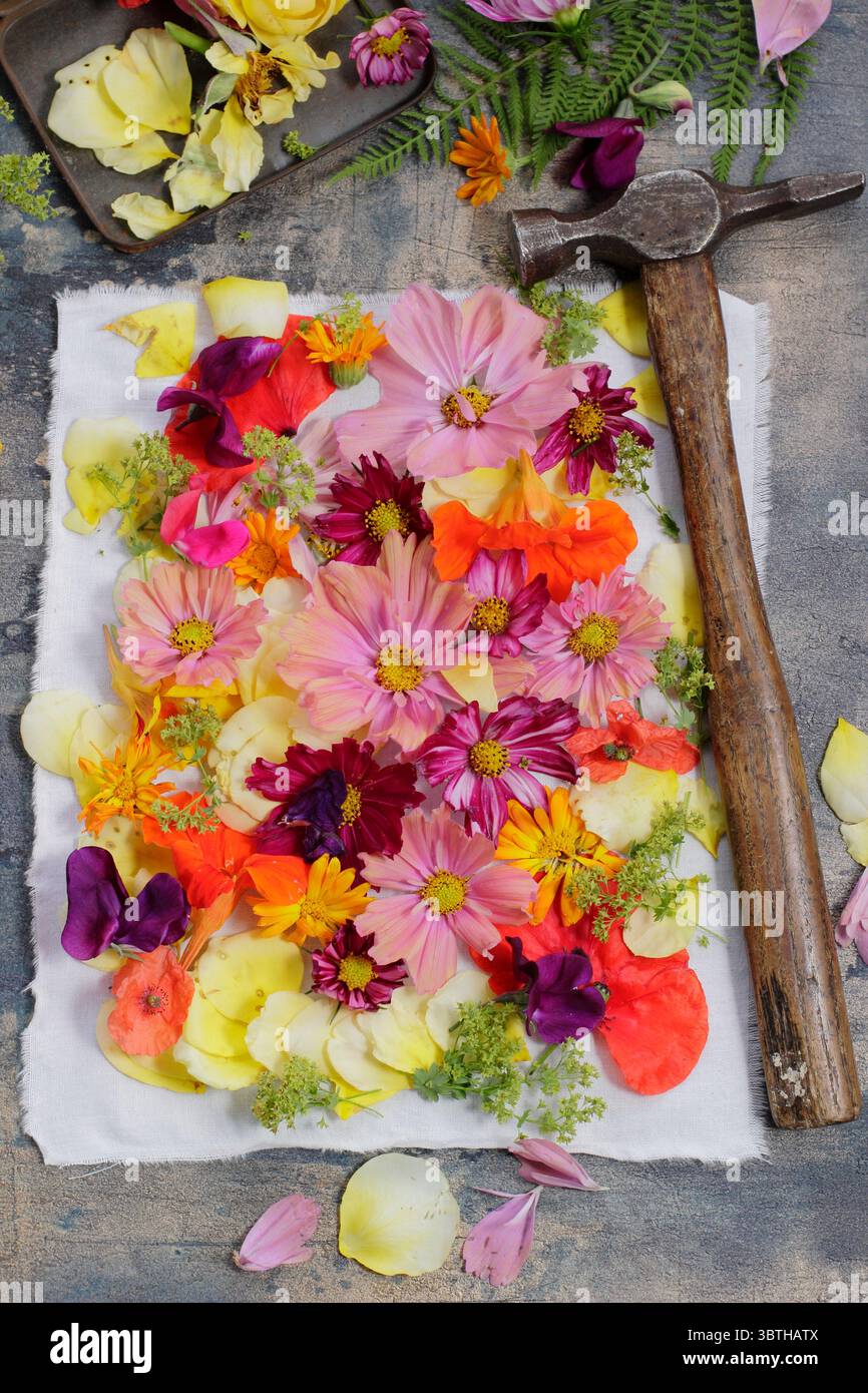 Flower prints hi-res stock photography and images - Alamy