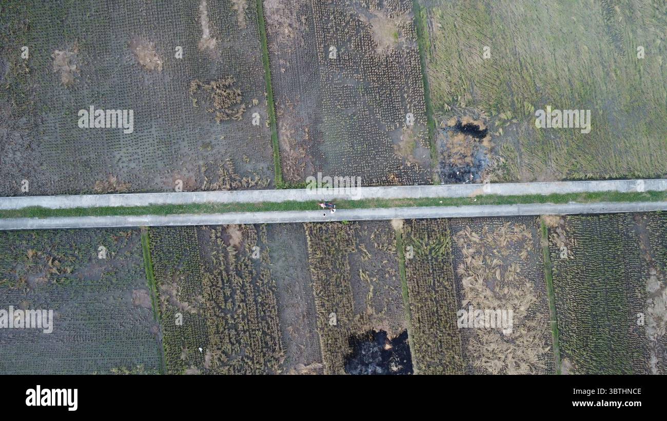 Aerial view captures a rural Asian landscape with rice paddies bisected ...