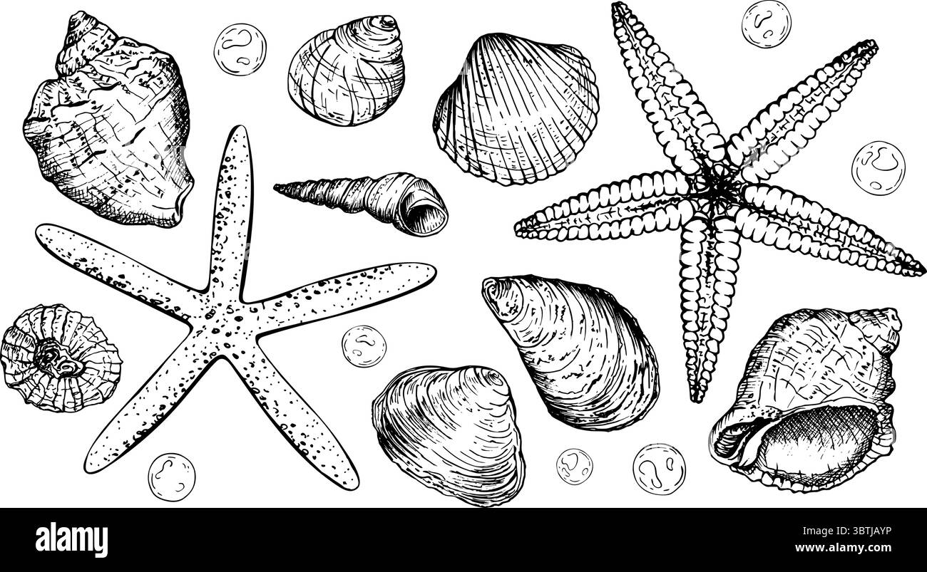 A set of detailed black and white vector illustrations. Various ...