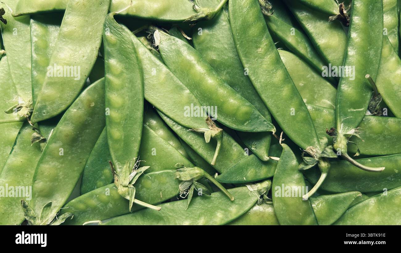 texture of fresh snow peas - Smartphone Captured Stock Image