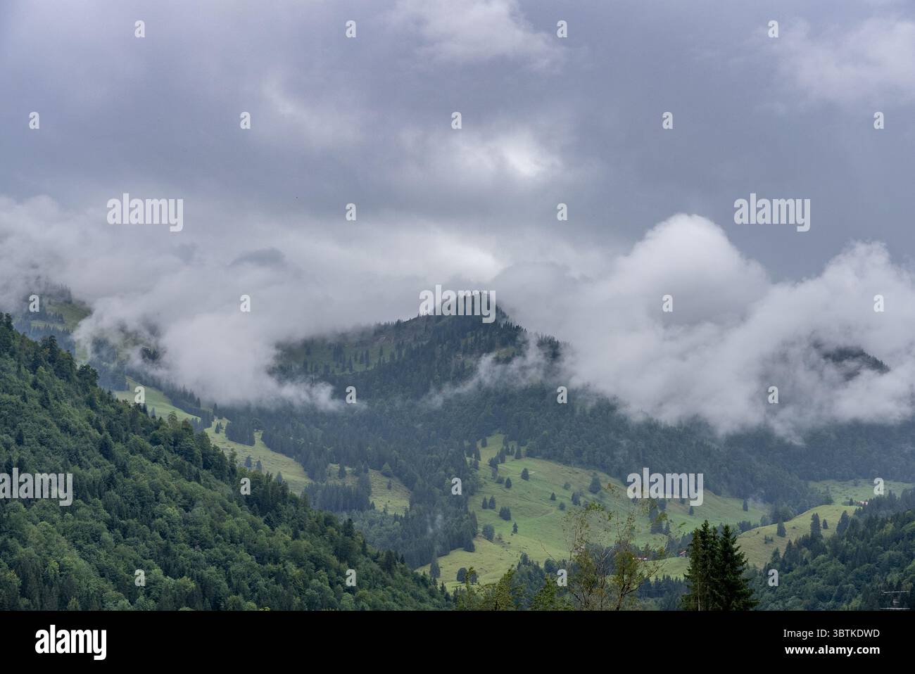 Misty Mountain Landscape with Lush Green Forests and Rolling Hills ...