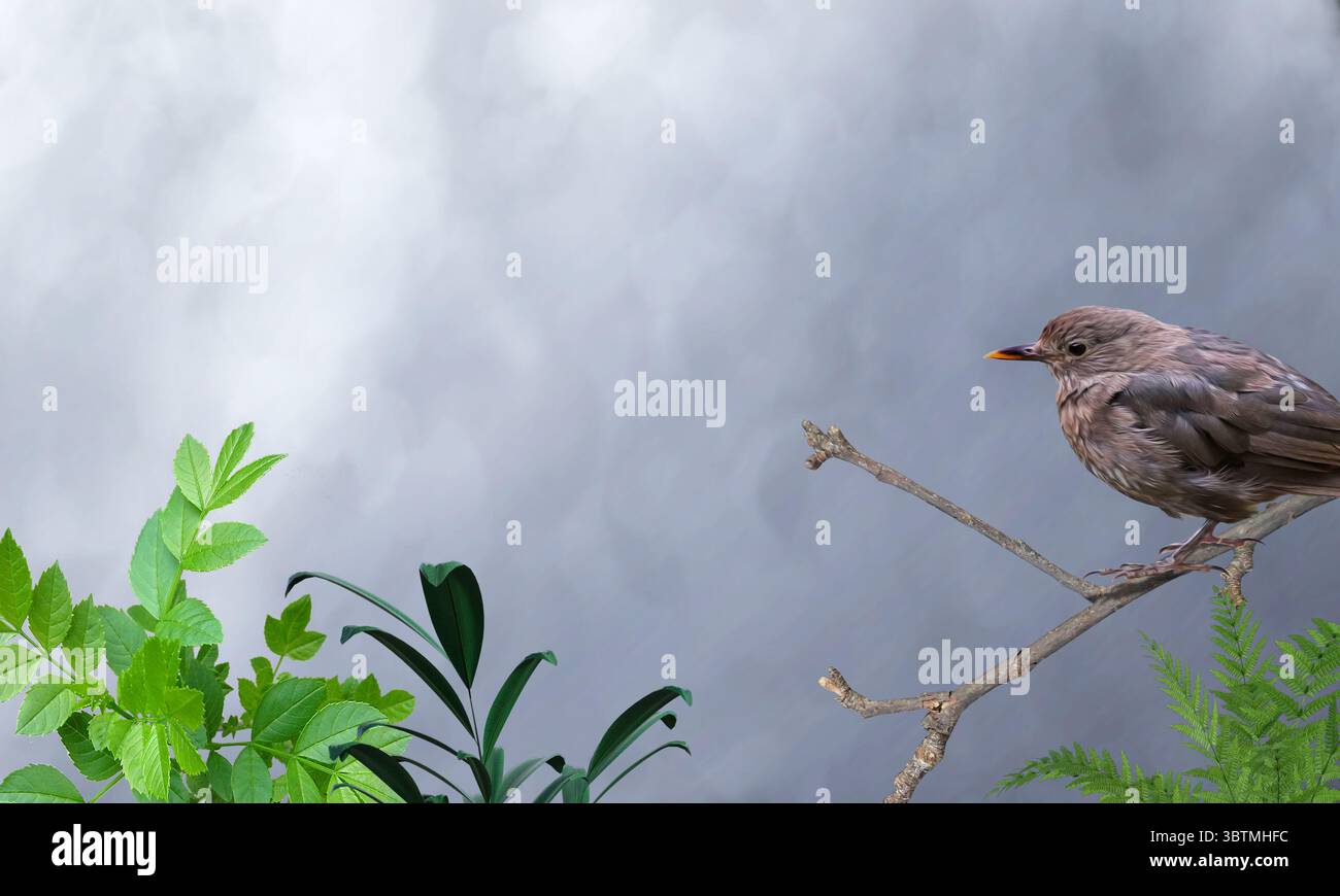 Illustration of a bird perched on a branch among the plants in a garden ...